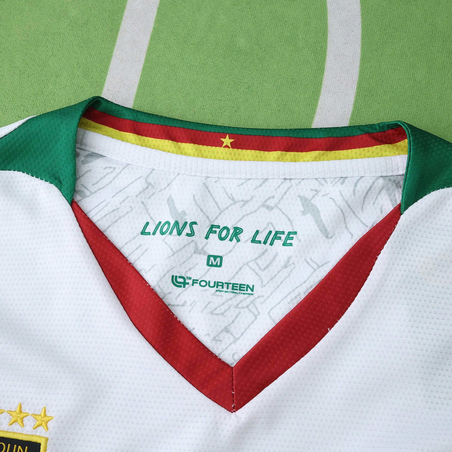 Cameroon Troisième Maillot 2025/2026 Fan Version