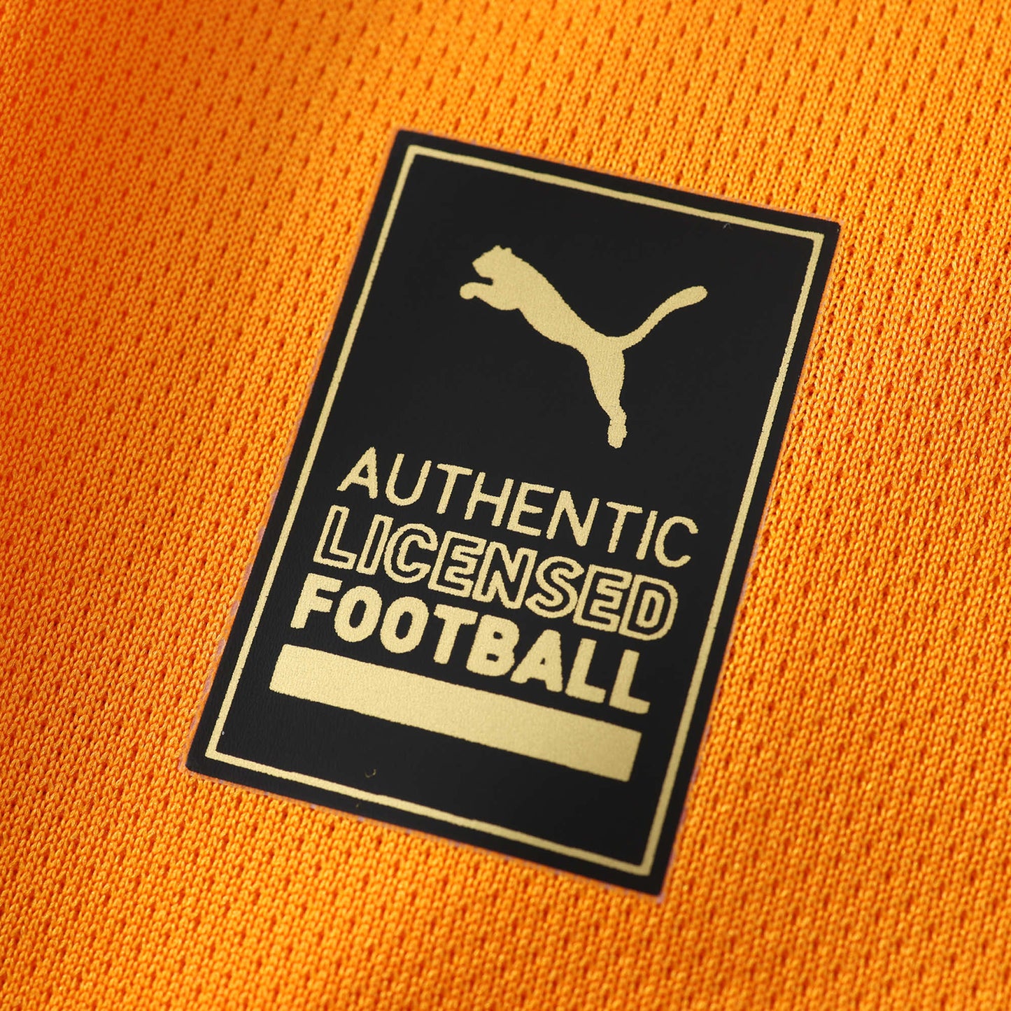 Galatasaray Home Jersey 2024/2025 Fan Version