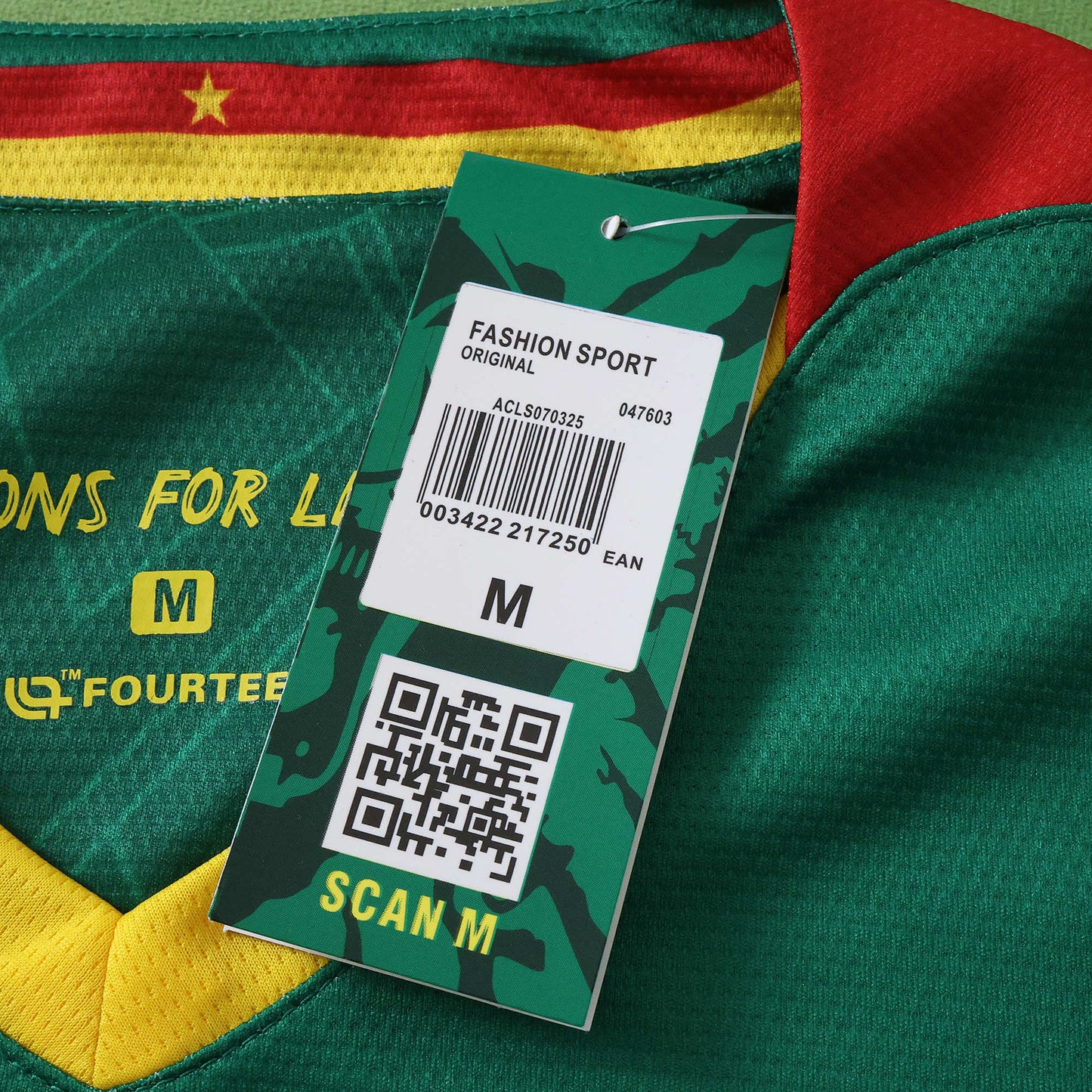 Cameroon Maillot Domicile 2025/2026 Fan Version