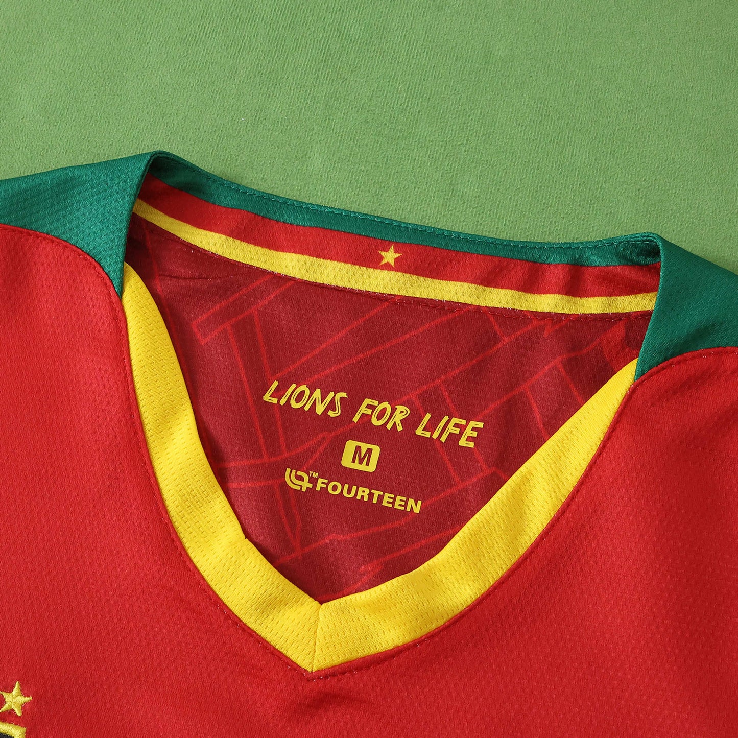 Cameroon Maillot Extérieur 2025/2026 Fan Version