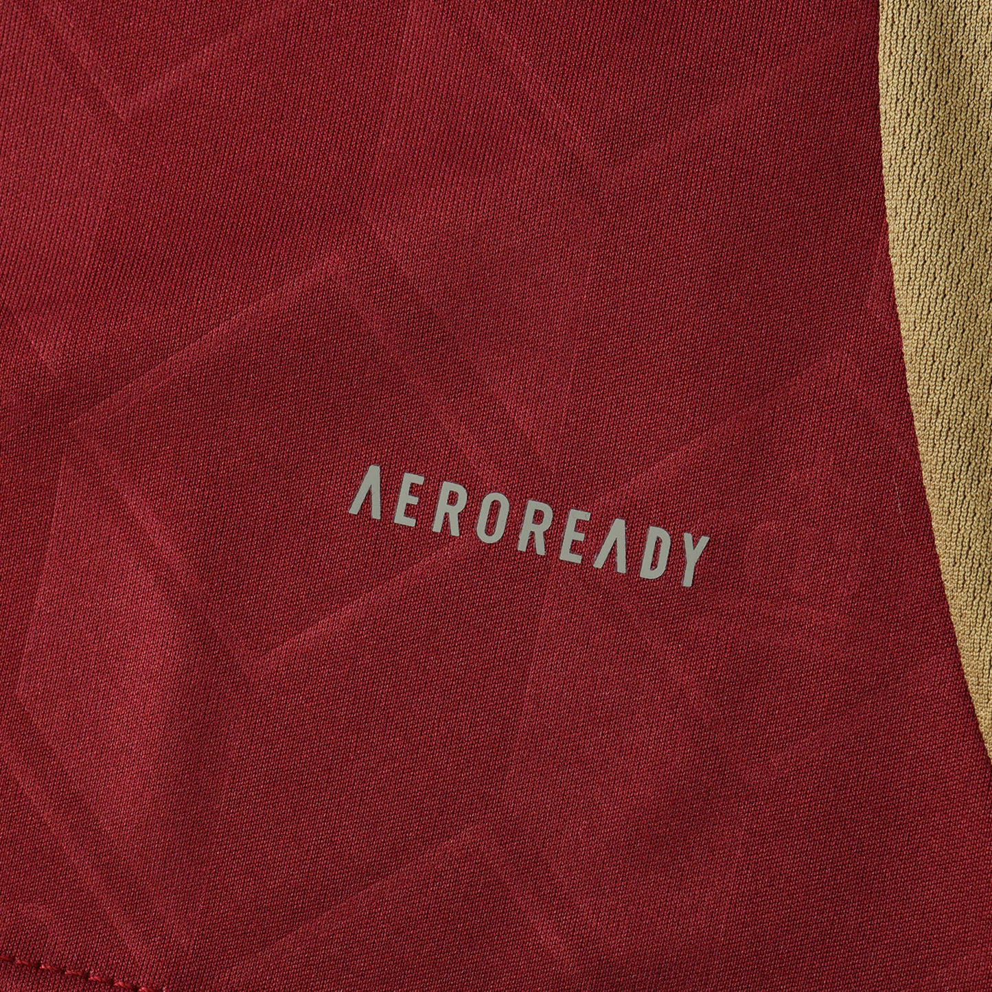 Belgique Maillot Domicile 2024 UEFA Fan Version