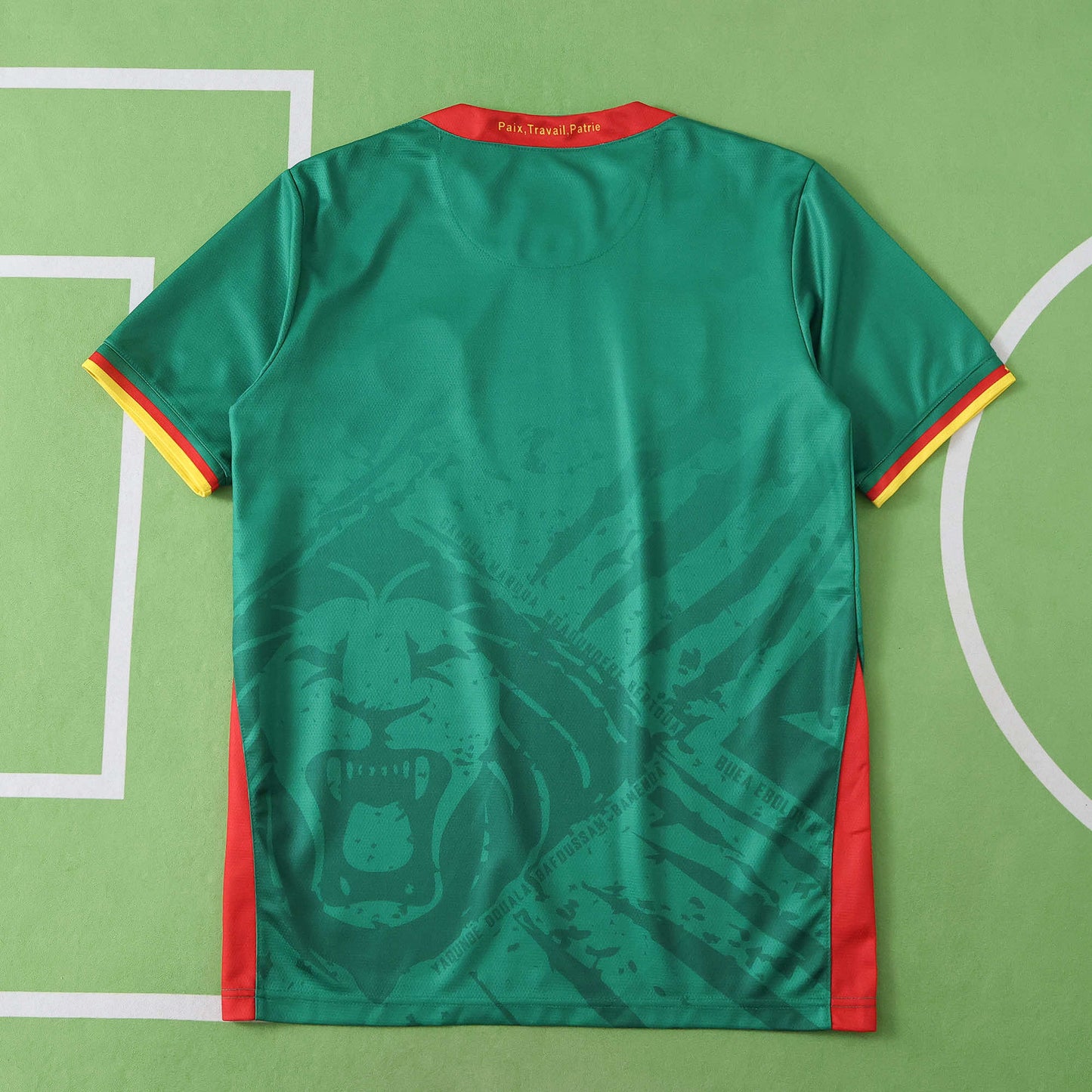 Cameroon Maillot Domicile 2025/2026 Fan Version