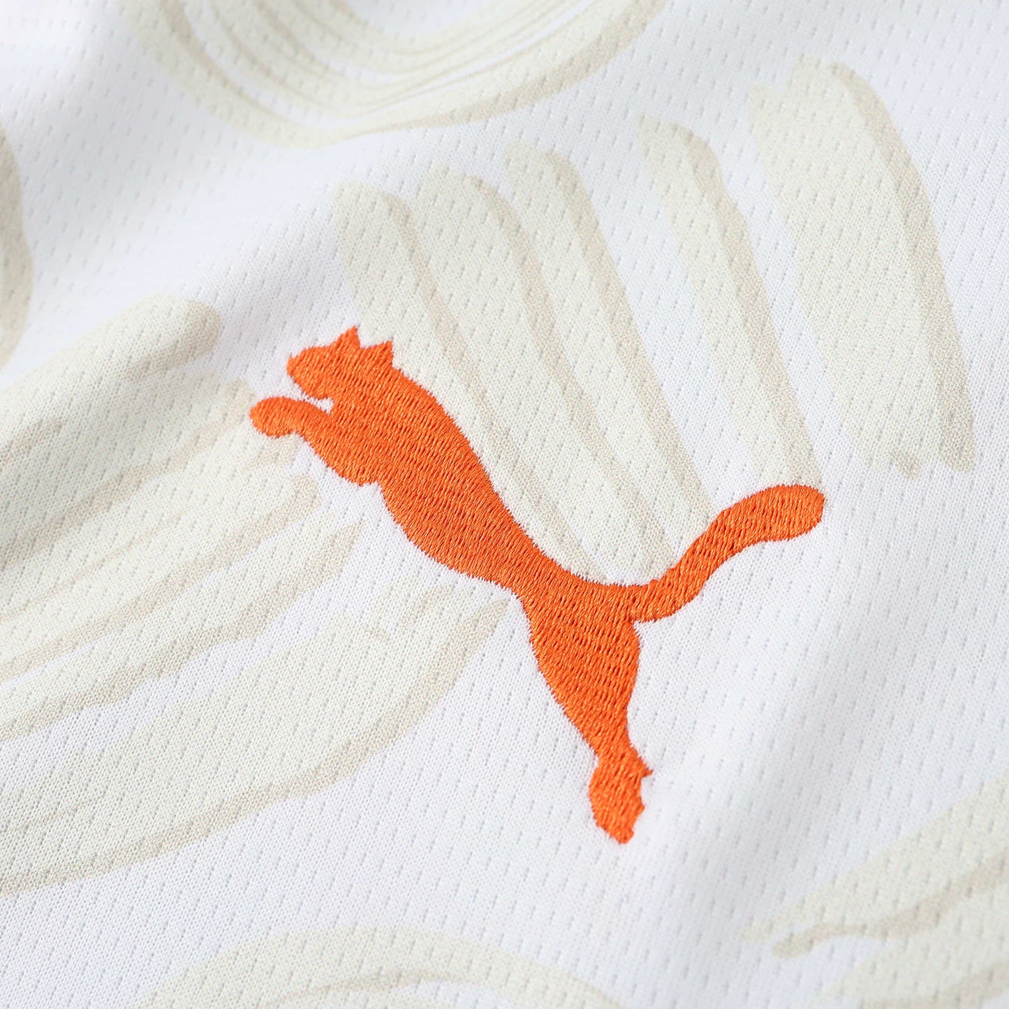 Cite D'Ivoire Maillot Extérieur 2024/2025 Fan Version