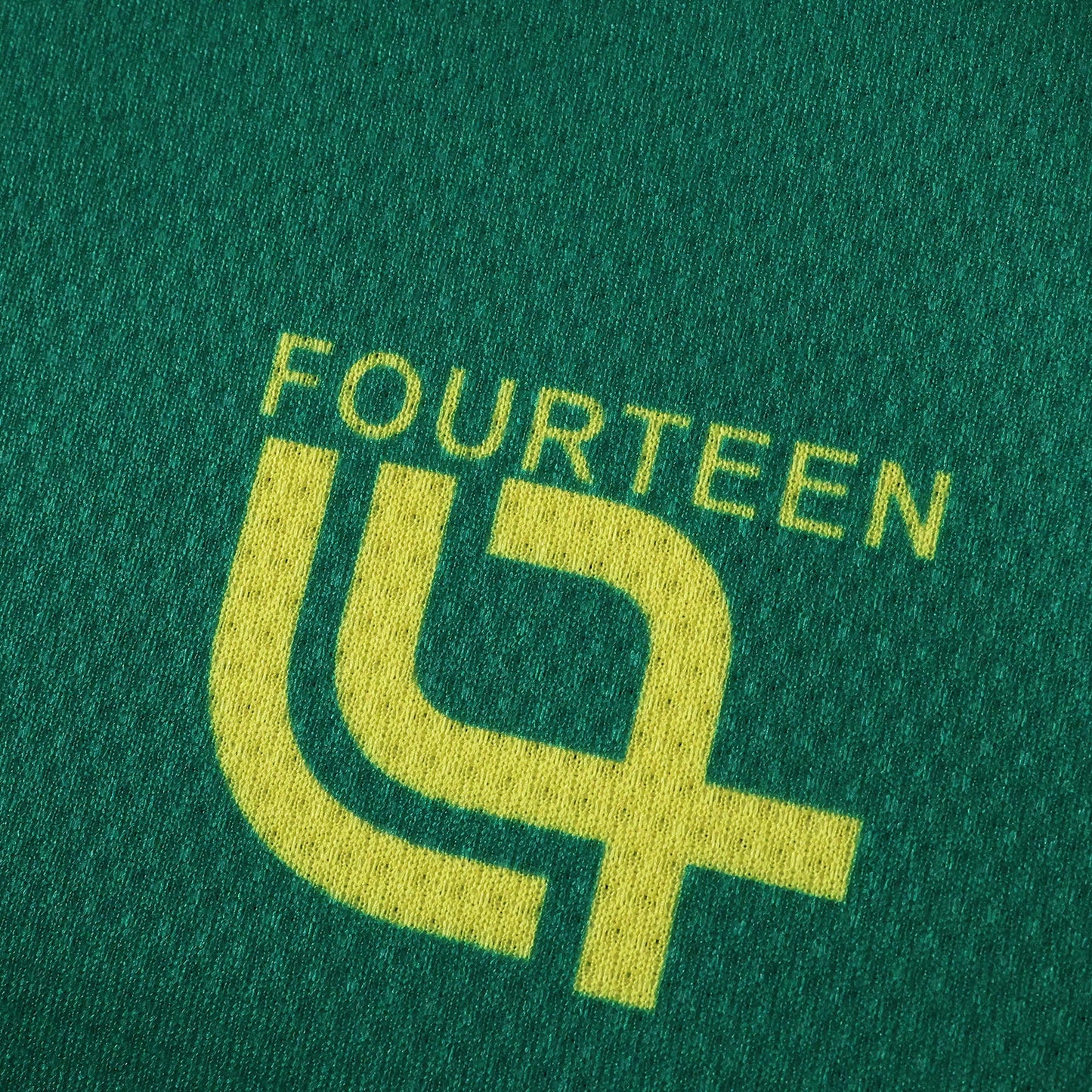 Cameroon Maillot Domicile 2025/2026 Fan Version