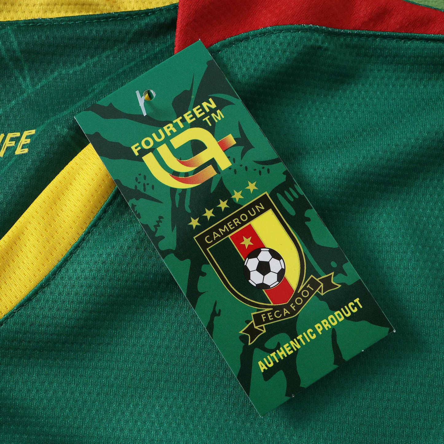 Cameroon Maillot Domicile 2025/2026 Fan Version