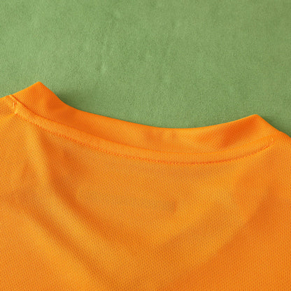 Galatasaray Home Jersey 2024/2025 Fan Version