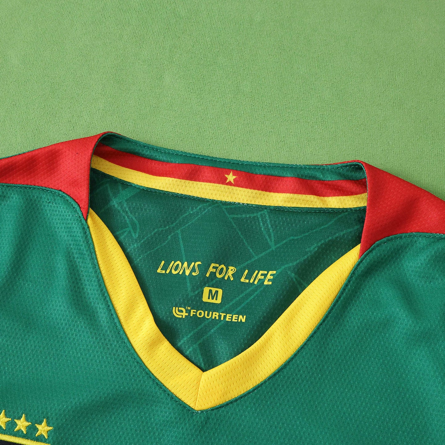Cameroon Maillot Domicile 2025/2026 Fan Version