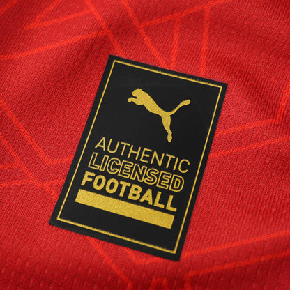 Maroc Maillot Domicile 2024/2025 Fan Version