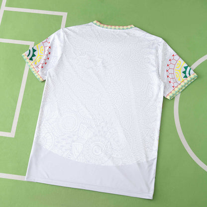 Mali Maillot Blanc 2025/2026 Fan Version