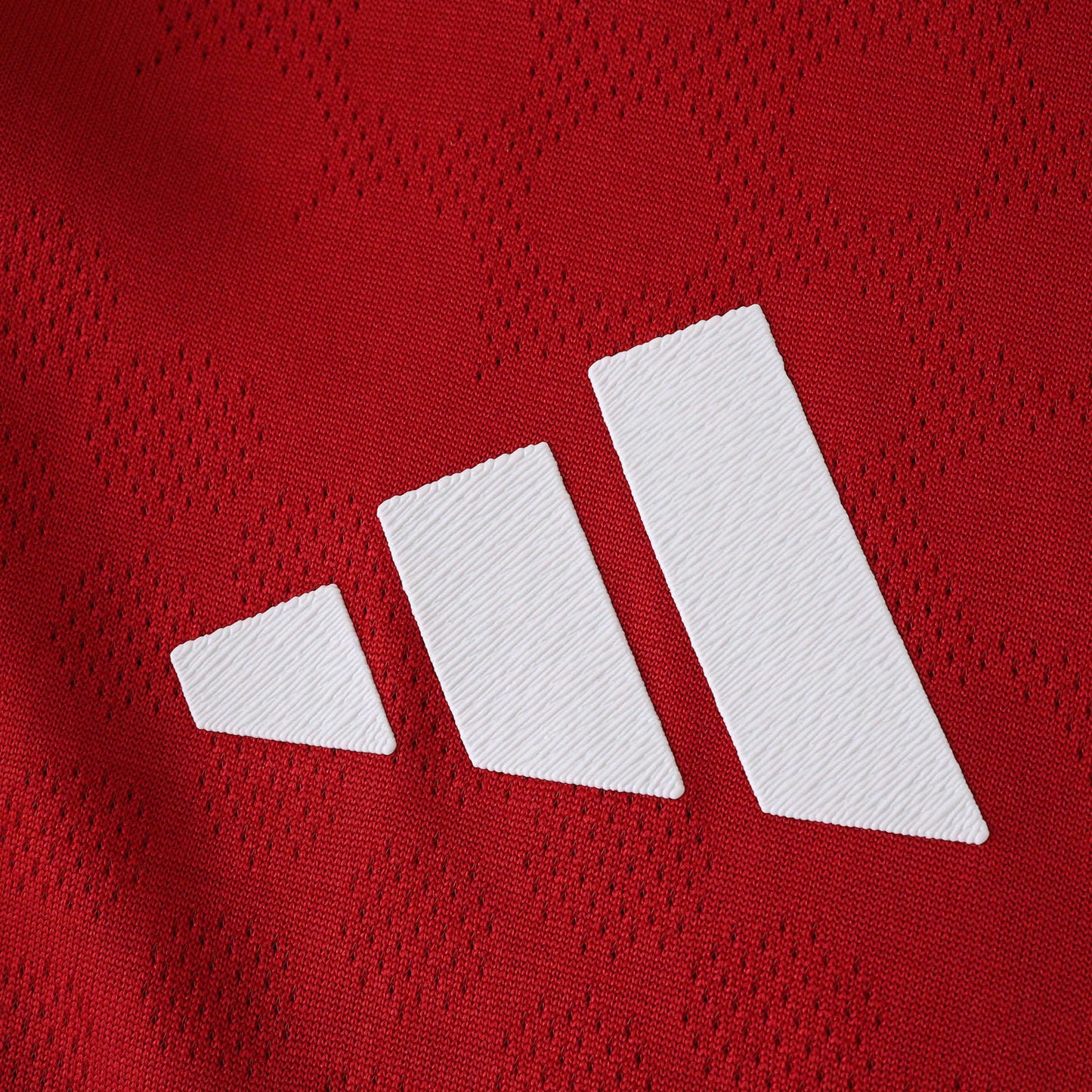 Liverpool Maillot Longue Manche Domicile 2025/2026 Player Version