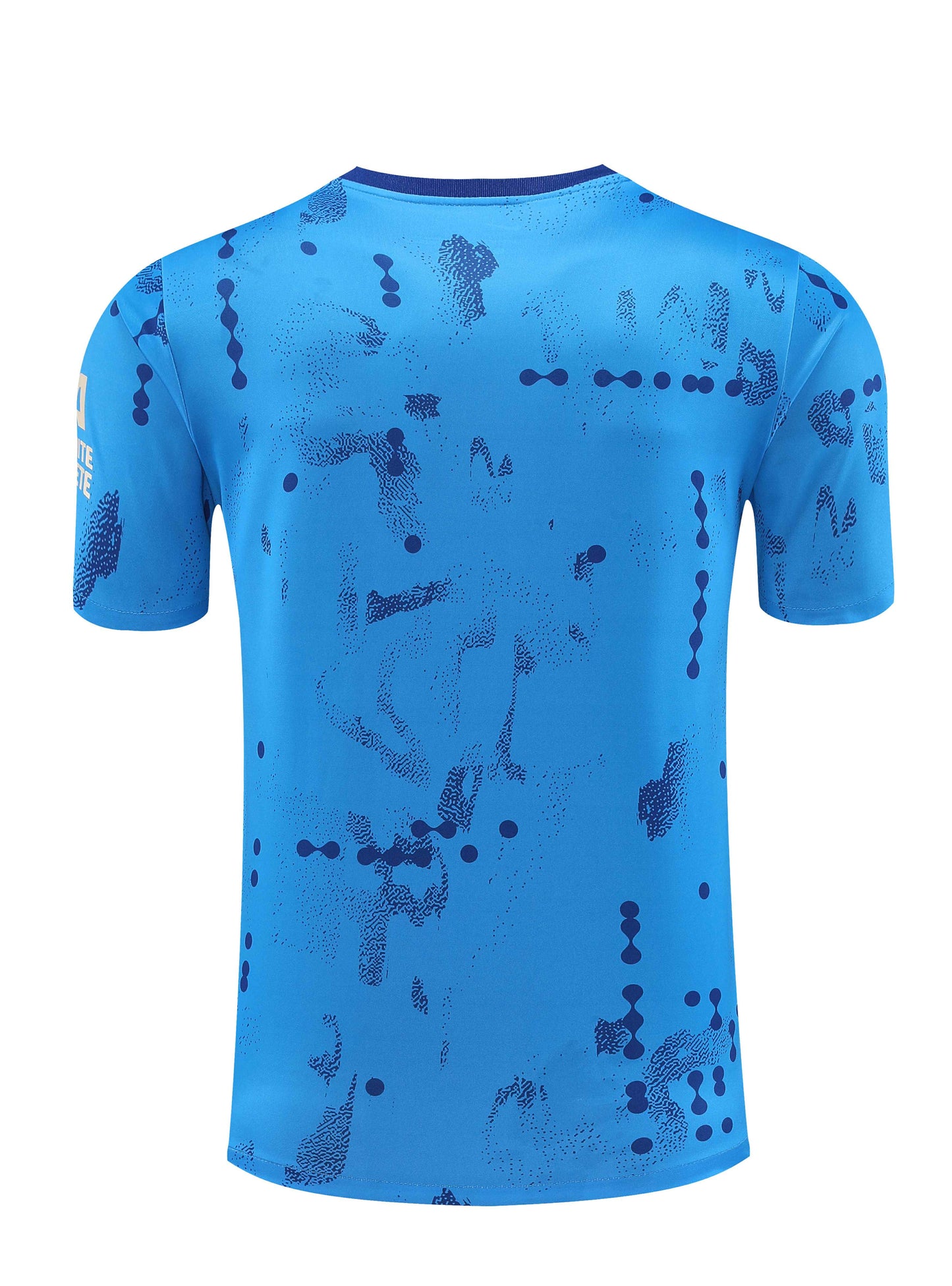 Chelsea Ensemble Short Maillot D'Entrainement 2024/2025