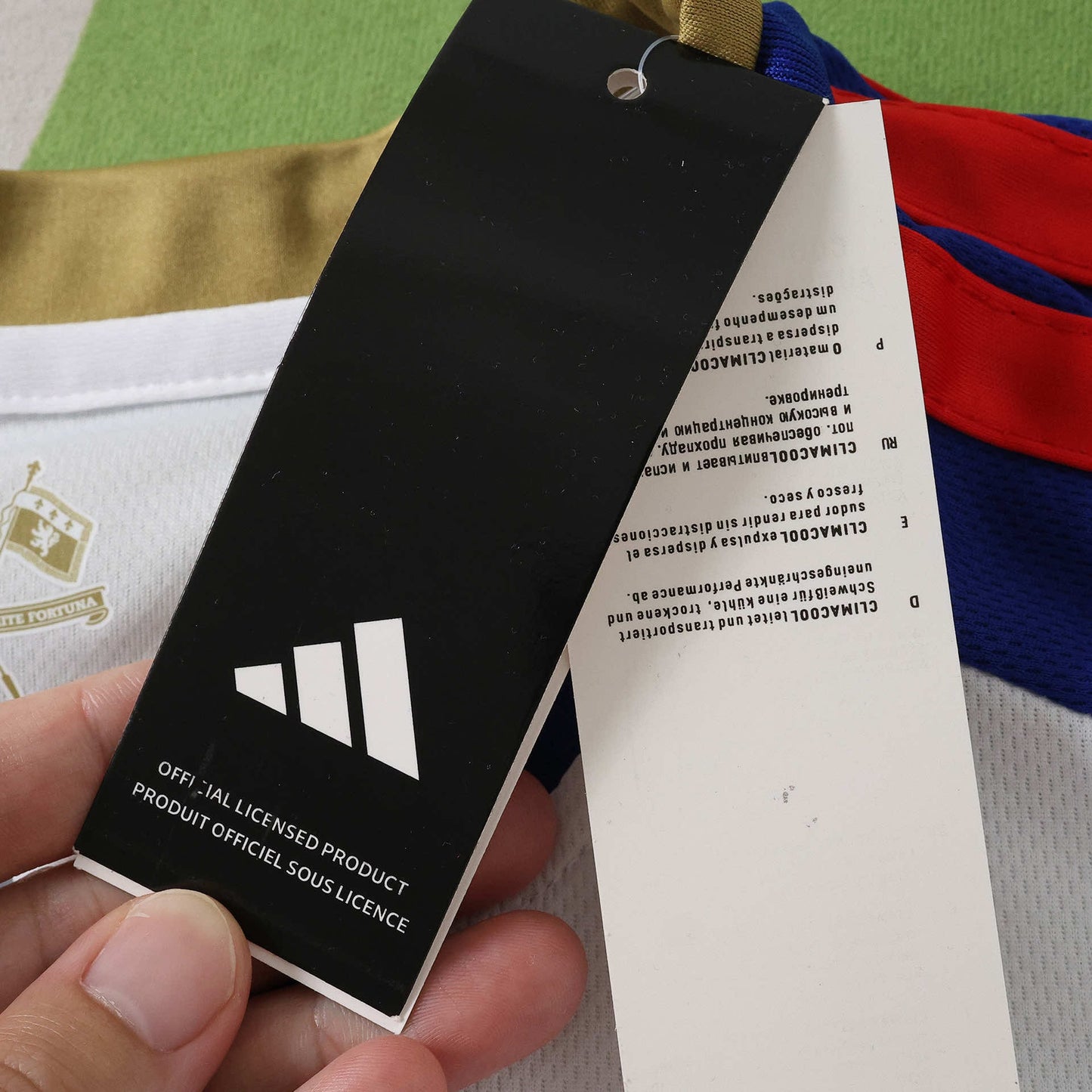 Lyon Maillot Domicile 2026/2027 Fan Version