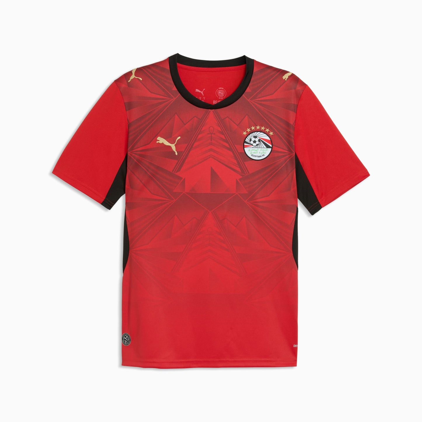 Egypt Maillot Domicile Fan Version 2026