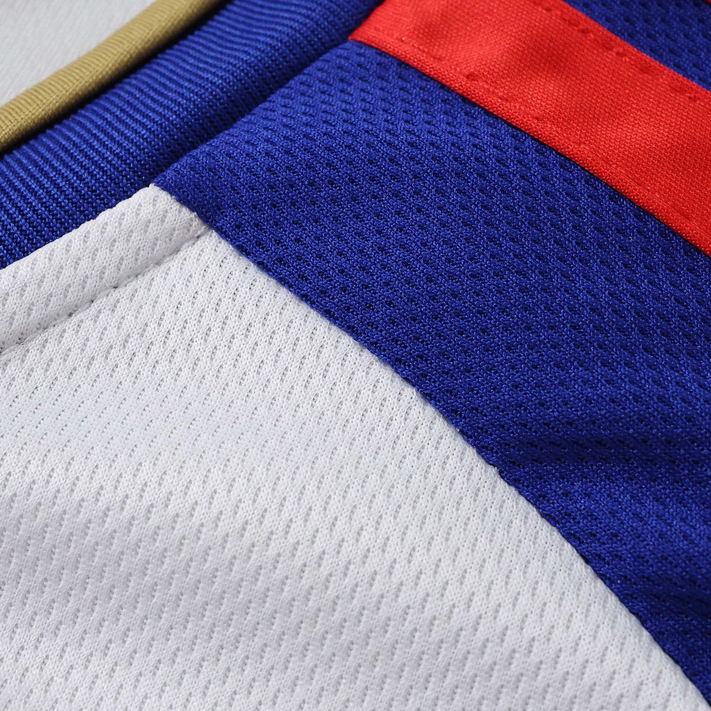 Lyon Maillot Domicile 2026/2027 Fan Version