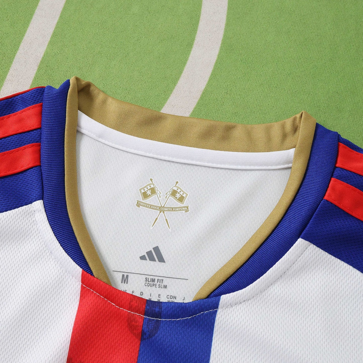 Lyon Maillot Domicile 2026/2027 Fan Version