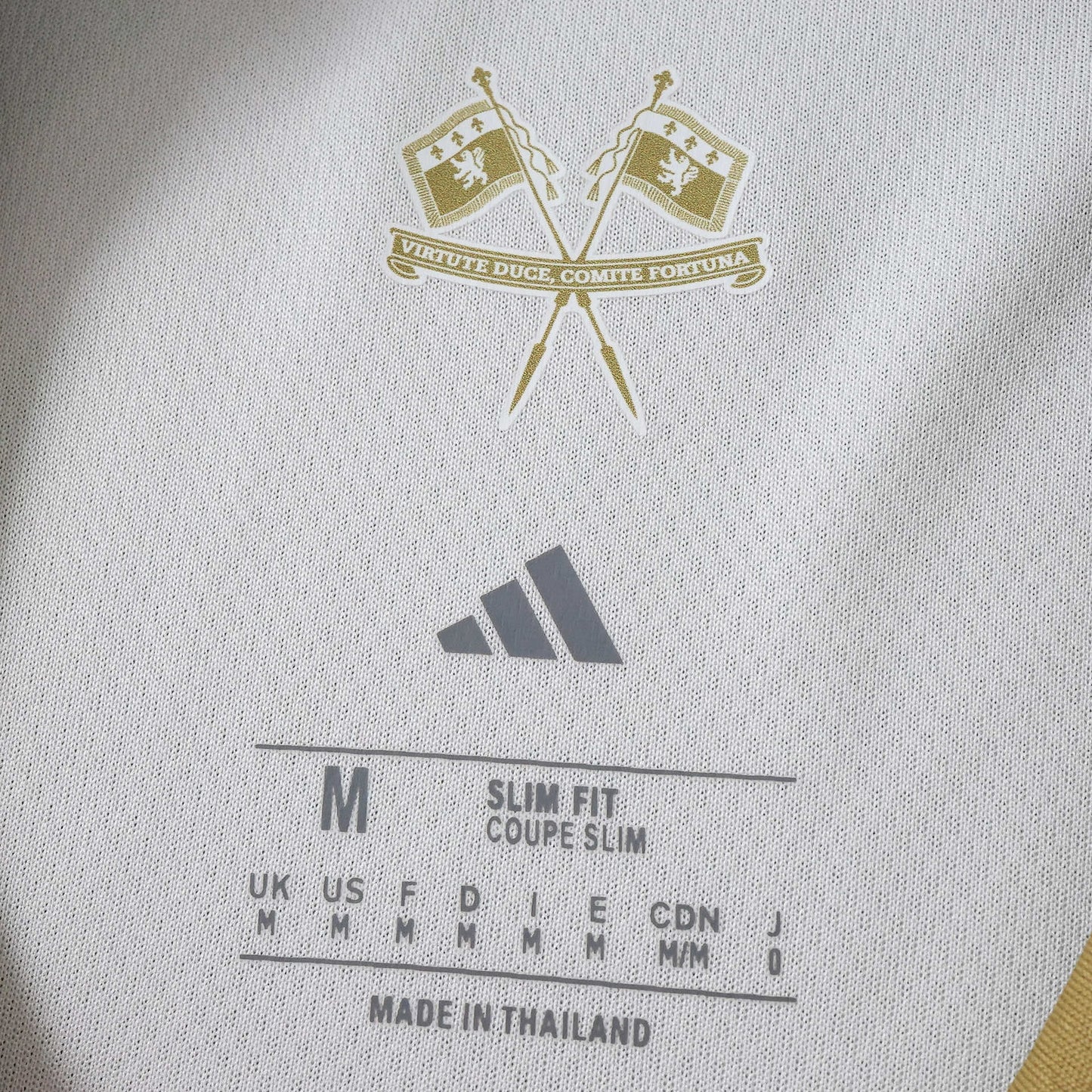 Lyon Maillot Domicile 2026/2027 Fan Version