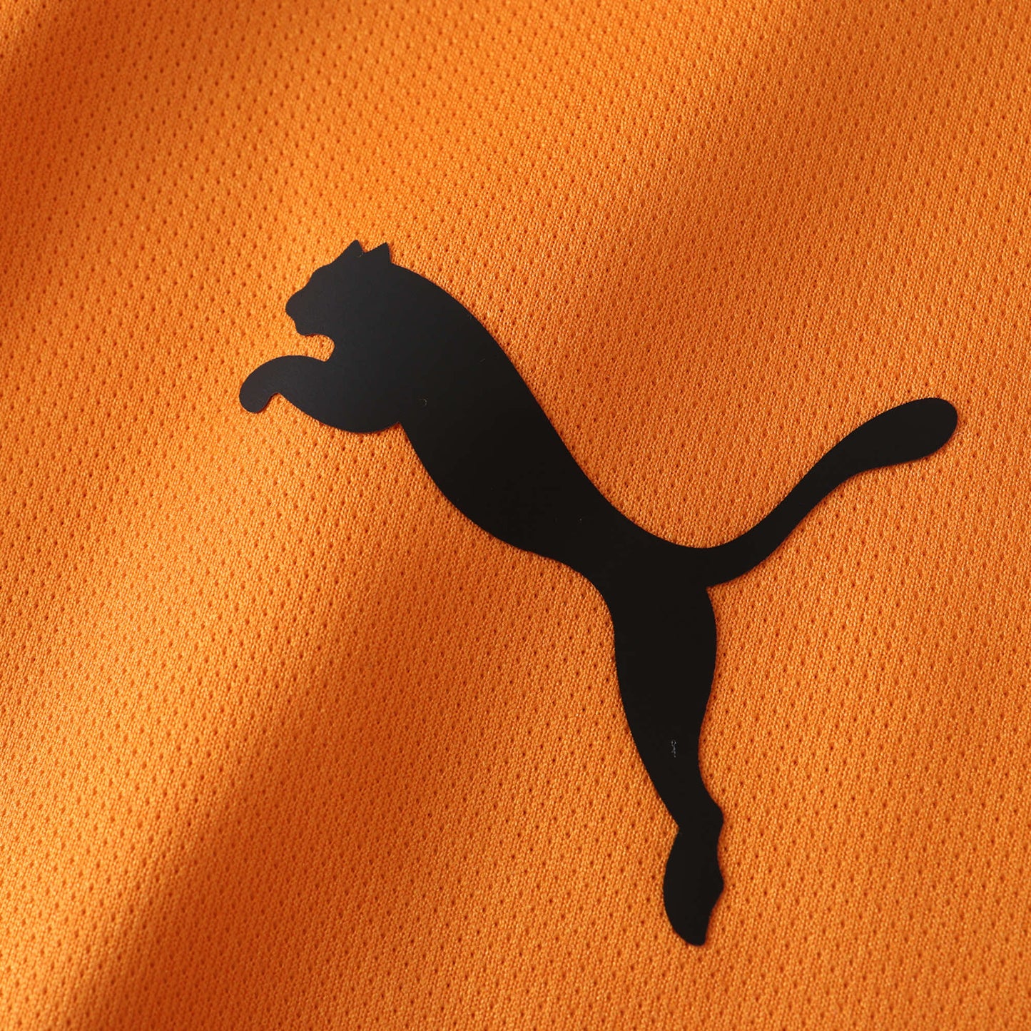 Galatasaray Home Jersey 2024/2025 Fan Version