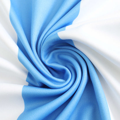 Argentine Maillot Domicile 2024 Player Version