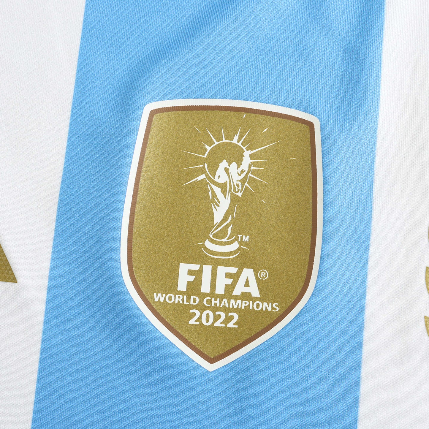 Argentine Maillot Domicile 2024 Player Version
